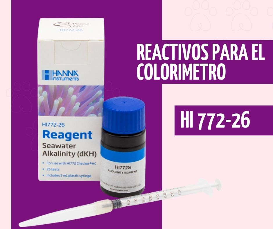 Copia de Copia de Copia de Copia de Copia de producto canva (71)